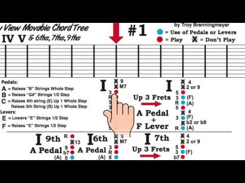 E9 Pedal Steel Basics - #8 - C6 Sounds for E9 - 6th, 7th, & 9th Chord For Swing & Blues