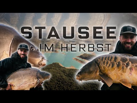 Angeln am Stausee im Herbst I Zwischen Wellen und großen Karpfen mit Lukas Welschenbach