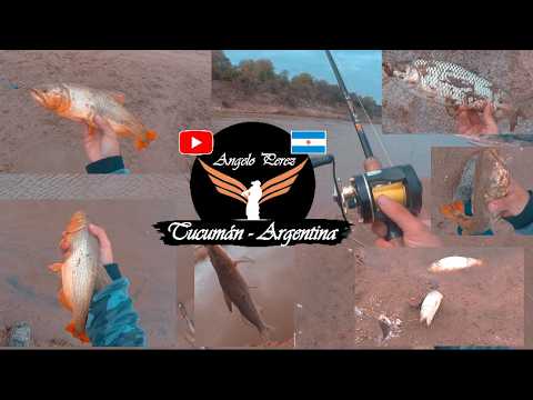Pesca en Atamisqui - Santiago del Estero (Dorados, Bogas, Bagres)