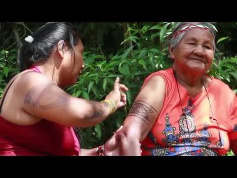 que brota da rubra terra - ELE NÃO