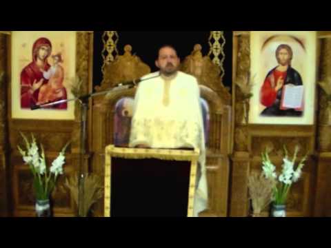 pr. Adrian Chiriță - Duminica Vindecării lunaticului, 09.08.2015