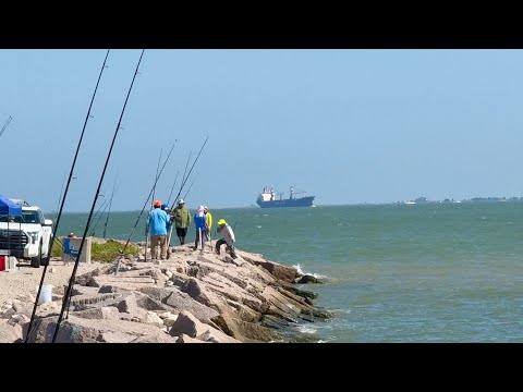 Texas City Dike bull reds are biting
