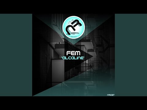 Remember (feat. Theobald Ringer) (Original Mix)