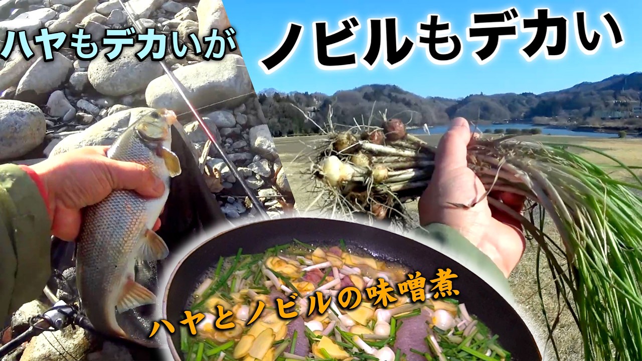 寒バヤが好釣【ノビルも好釣ｗ】