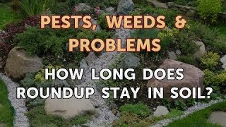 How Long Does Roundup Stay in Soil?