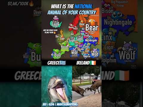 What Is The National Animal Of Your Country🦌 #mapping #map #shorts #popular #fyp