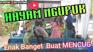 Download lagu HAYAM NGUPUK - Joget MENCUG enak banget // bajidoran nico entertainment mp3 Download lagu HAYAM NGUPUK - Joget MENCUG enak banget // bajidoran nico entertainment mp3