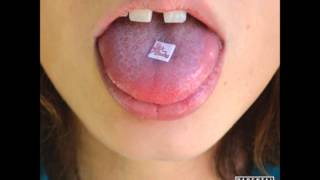 Silk Rhodes - Pains (2014)