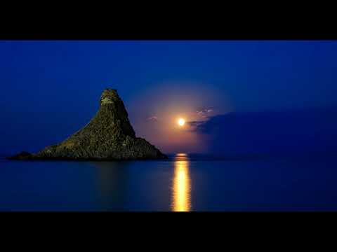 Observance by DJ Synergy E (Vocal Psy-Trance)