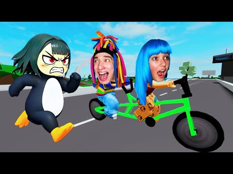 КИТАЙКУ ПРЕСЛЕДУЕТ ГУГУГАГА ПИНГВИН В БРУКХЕЙВЕН!