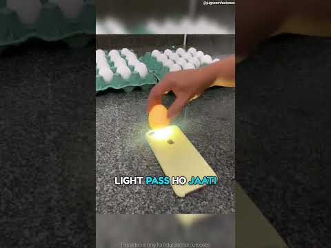 Check egg quality very easily | #shorts