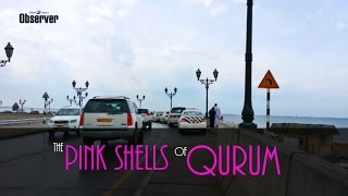 The Pink Shells of Qurum
