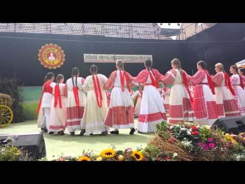 KUD Kresimir Bad Cannstatt - Vinkovacke jeseni (Posavina)