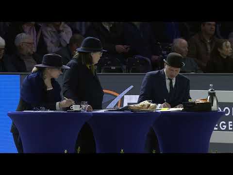 HK 2026 – Rubriek 1 Deel 2 – Donderdag 15 januari – Tweede bezichtiging