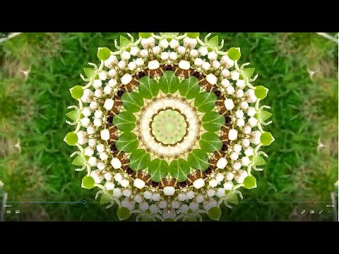 Globular - Entangled Everything (Album Mix) [Psychill / Psydub]