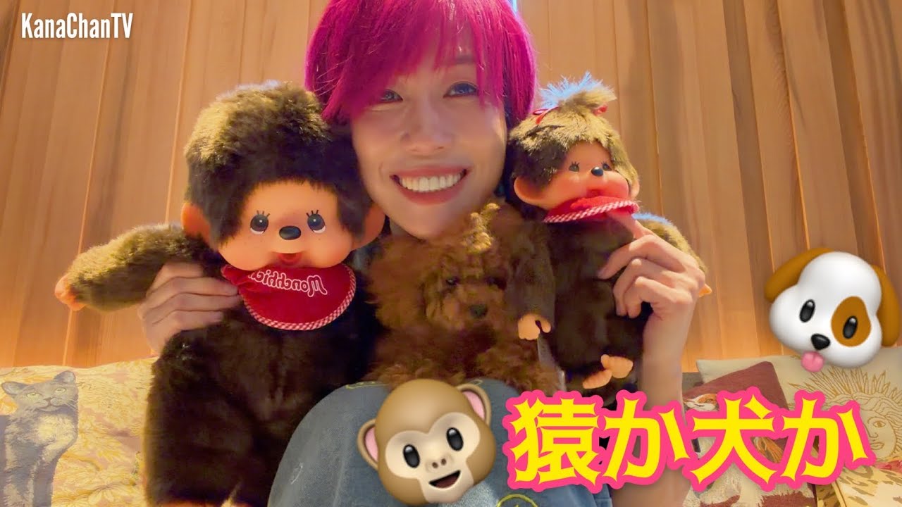 【開封動画】愛犬がモンチッチに似すぎてるからグッズを沢山買ってしもた！🐶🐒