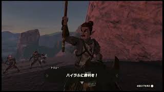 The Legend of Zelda: Tears of the Kingdom 【today's stroll】day6②：ゼルダの伝説　ティアーズオブザキングダム【今日の散歩】6日目②