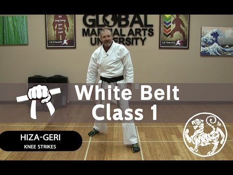 Shotokan Karate Follow Along Class - 9th Kyu White Belt - Class #1