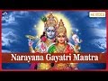 Om Narayanaya Vidmahe Vasudevaya - Vishnu Gayatri Mantra By Brahman Chanting | विष्णु गायत्री 