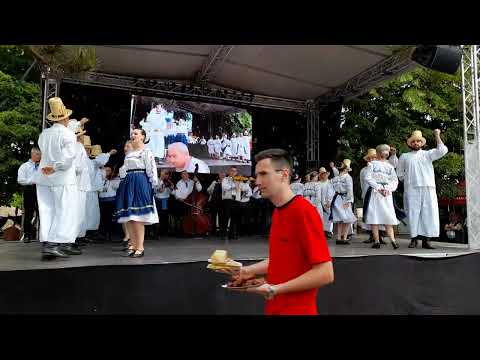 Rapsodia Somesana, Ziua Transportatorului, Cluj 12 Iunie 2022