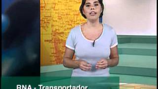 B 05 - Ácidos Nucléicos - Biologia - Vestibulando Digital