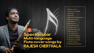 Download lagu Spectacular multi language flute cover songs Rajes... mp3