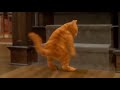 Garfield Hey Mama Normal Backwards