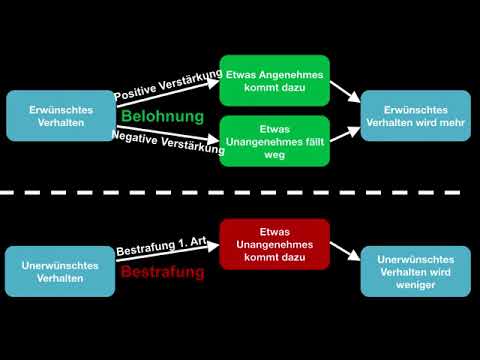 operante Konditionierung