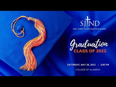 Bay Area Live Streams video.