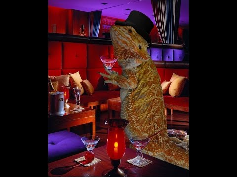 YouTube Video hWDDUf_7CNE