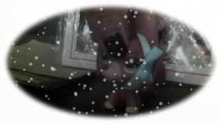 "Have Yourself a Merry Little Christmas" LPS mv