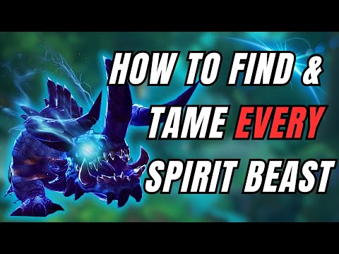 How to Tame Every Spirit Beast in Wow | Hunter Pet Tames | World of Warcraft | The War Within