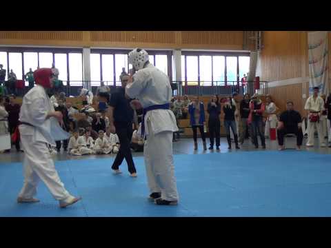 kyokushinkai karate national tournament 2014 Germany,Gaggenau Leo2