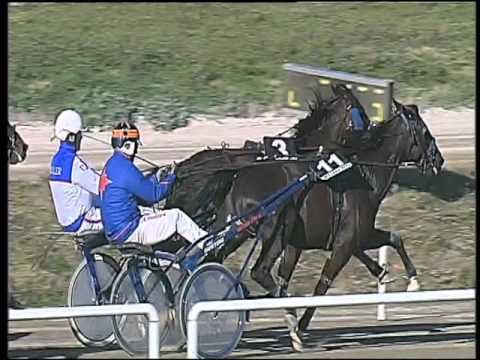 Trotto 05/02/2016 - 1° corsa