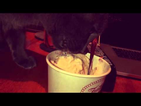 Revolution Number 9 / Donut / Chlobes