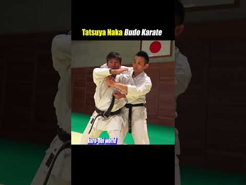 Self-defense when you are grabbed from behind【Budo Karate】