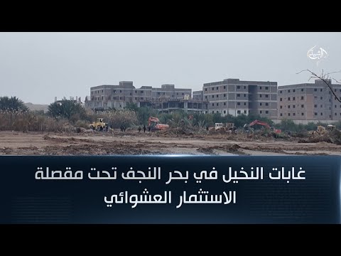 فيديو | غابات النخيل في بحر النجف تحت مقصلة الاستثمار العشوائي