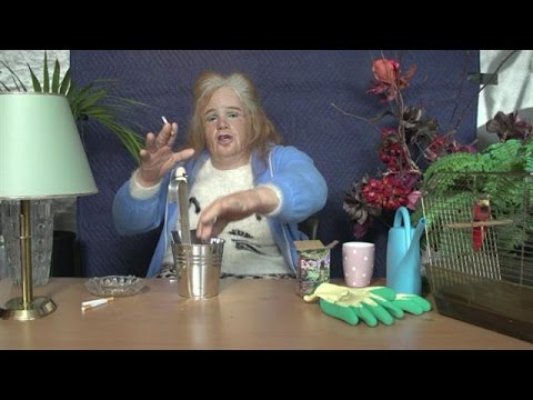 Gerrie’s vlog: je tuin zaadvrij - DINO.