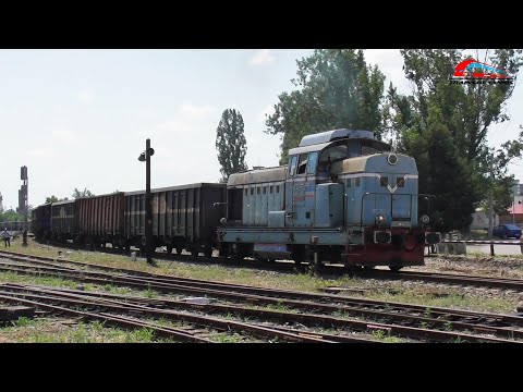 LDH1250 80-0489-2 la Tractiunea unui Marfar CFR Marfa cu 28 de Vagoane in Oradea Est - 15 Iulie 2025