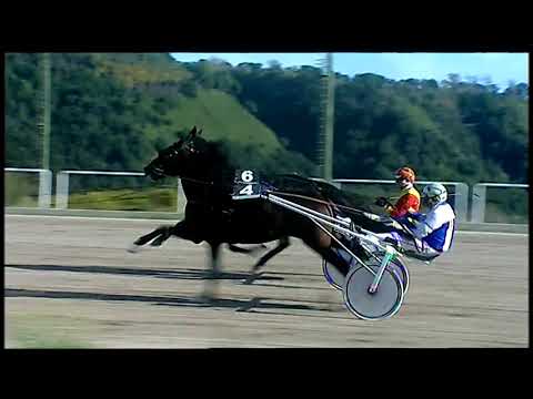 Napoli Trotto 7/11/2021 - 1ª corsa