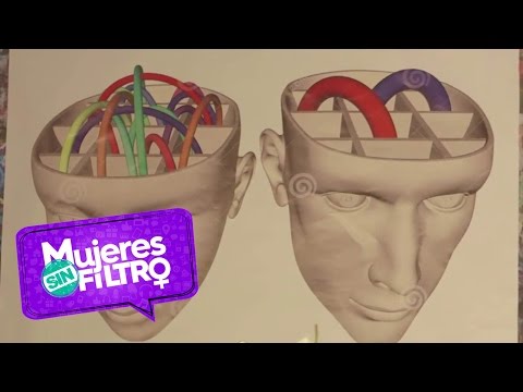 Ellos contra ellas - Las conexiones cerebrales