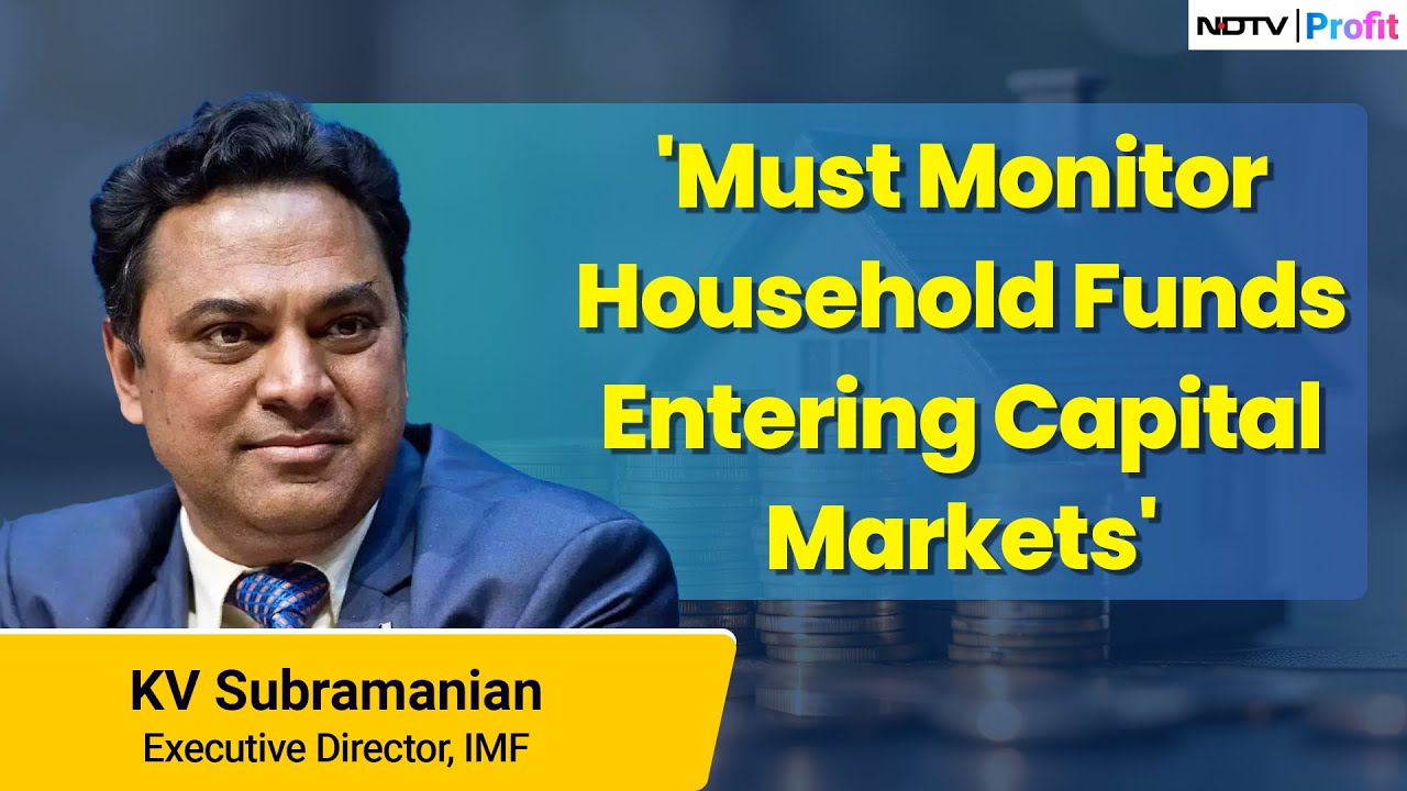 KV Subramanian On Household Funds Entering Capital Markets | NDTV Profit