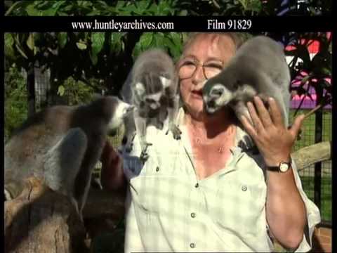 'Fierce Creatures' and John Cleese, 1990's - Film 91829