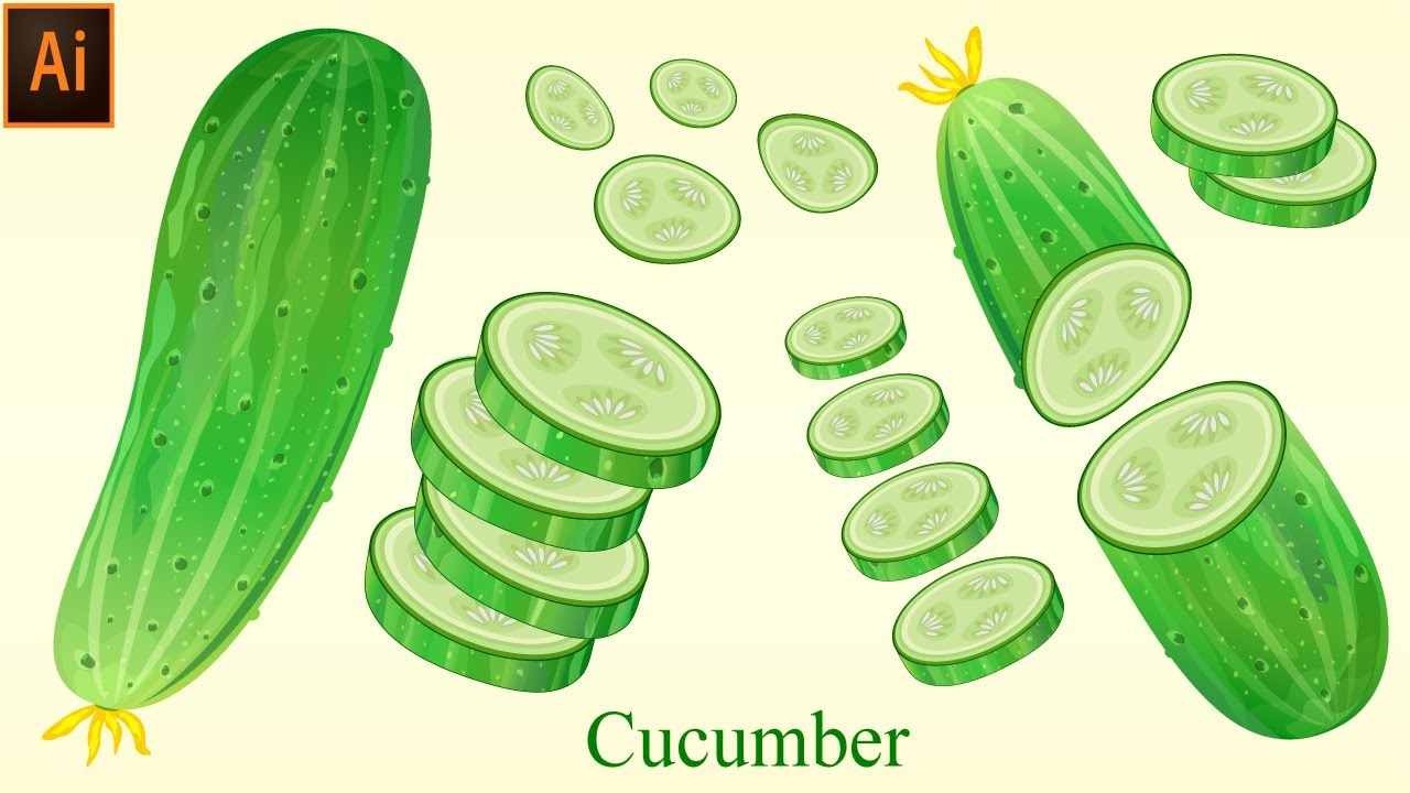 Cucumber Vector Drawing Step By Step Tutorial On Illustrator By illustration learning