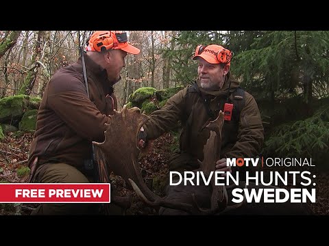Driven Hunts: Sweden, Eps 2 | An MOTV Original