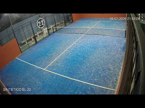Sintetico el 22 - Carlos Tejedor