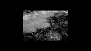 we believe in happy endings