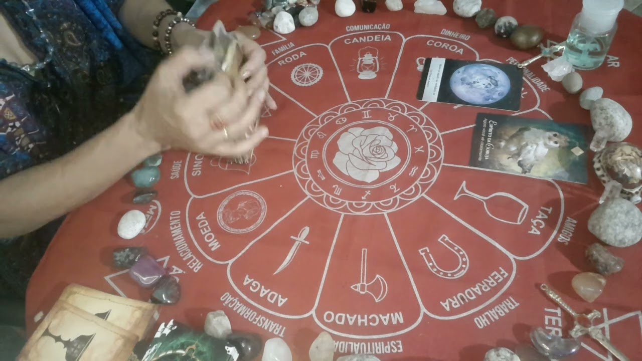 LEÃO - MOMENTO DE FAZER ACONTECER. - NOV./2024