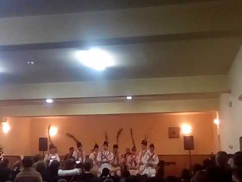 Concert la cămin cultural comuna Bretea română(5)