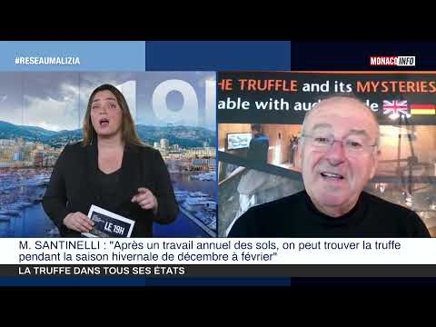 Gastronomia: la truffe dans tous ses états